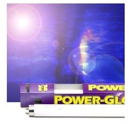Power Glo 8W
