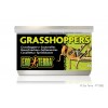 Grasshoppers (Cavallette) 34g 