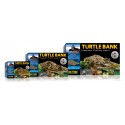 Isola Turtle Bank