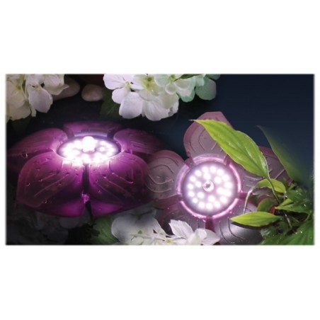 Flower LED