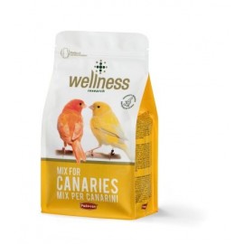 Wellness Canarini
