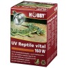 UV- Reptile Vital 