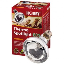 Thermo Spotlight Eco