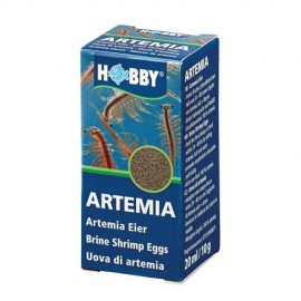 Uova di Artemia Salina