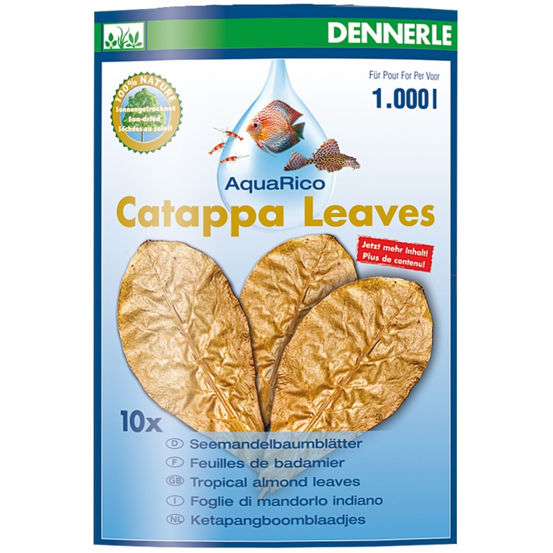 Catappa Leaves