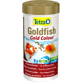 Goldfish Gold Color