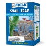 Snail Trap 