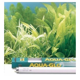 Aqua Glo 8W