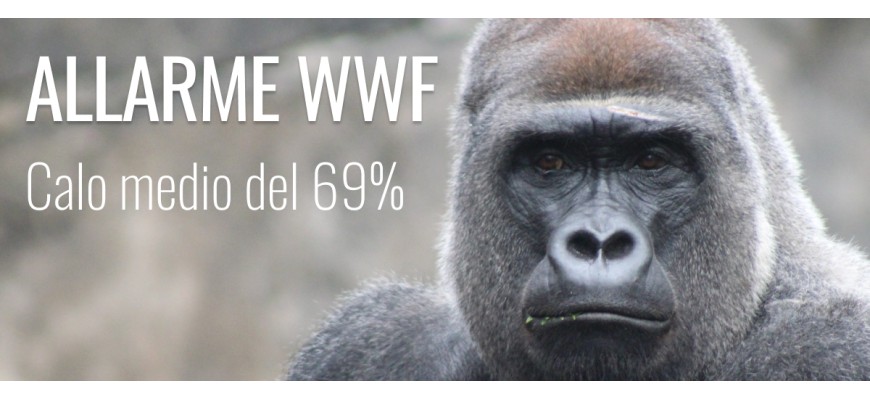 ALLARME WWF: Le popolazioni animali sulla Terra sono calate del 69%